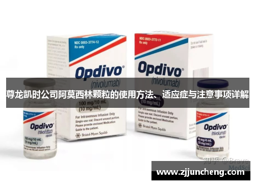 尊龙凯时公司阿莫西林颗粒的使用方法、适应症与注意事项详解