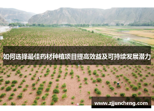 如何选择最佳药材种植项目提高效益及可持续发展潜力