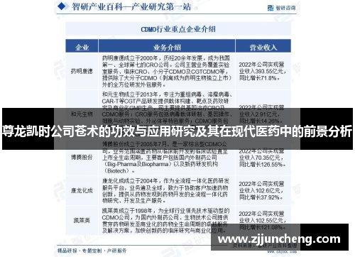 尊龙凯时公司苍术的功效与应用研究及其在现代医药中的前景分析