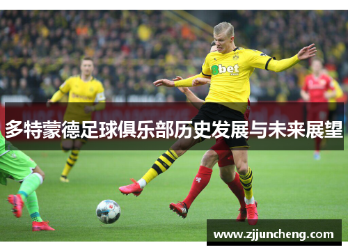 多特蒙德足球俱乐部历史发展与未来展望